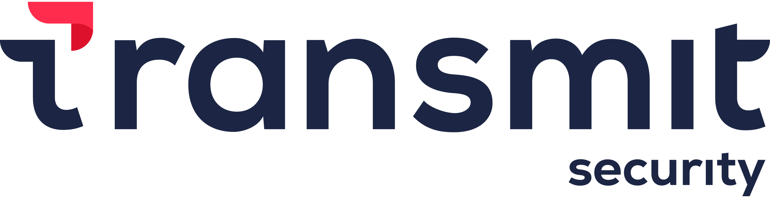 Transmit Security logo